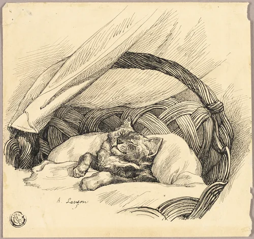 Cat Asleep in Basket by Auguste Andre Lançon, drawing, 1856-1887