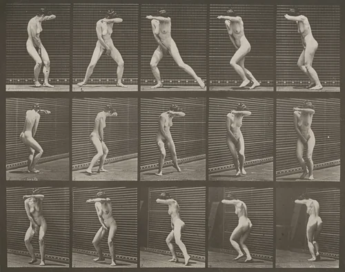 Plate Number 73. Turning around in surprise and running away by Eadweard Muybridge, photograph, 1887