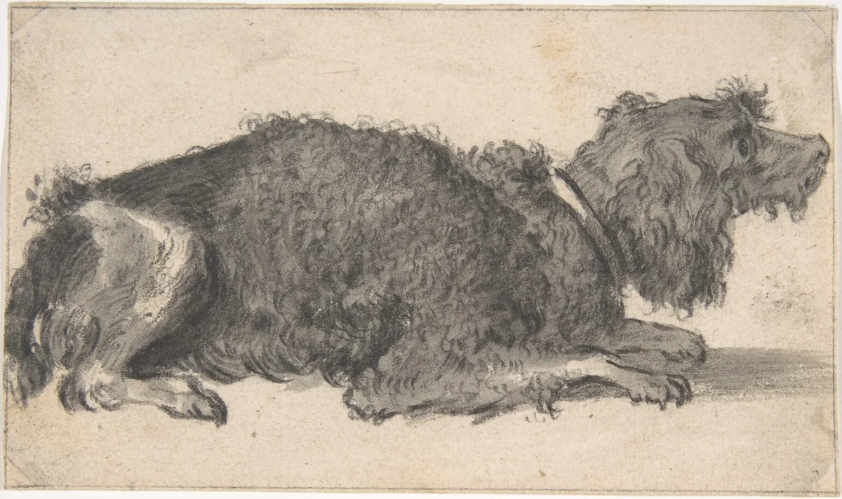 A Dog by Cornelis Saftleven, drawing, 1615-1681
