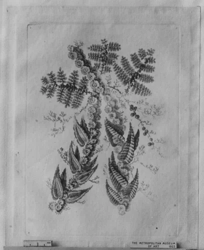 Flowers, from "Nouvelle Suite de Cahiers de Fleurs idéales a l'usage des dessinateurs et des peintres" by Jean Pillement, print, 1790-1799