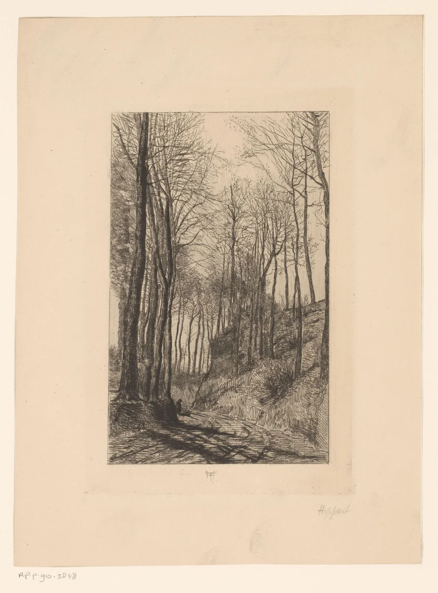 Landweg langs heuvels met bomen by Karel Theodoor Hippert, print, 1873