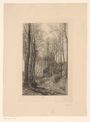 Landweg langs heuvels met bomen by Karel Theodoor Hippert, print, 1873