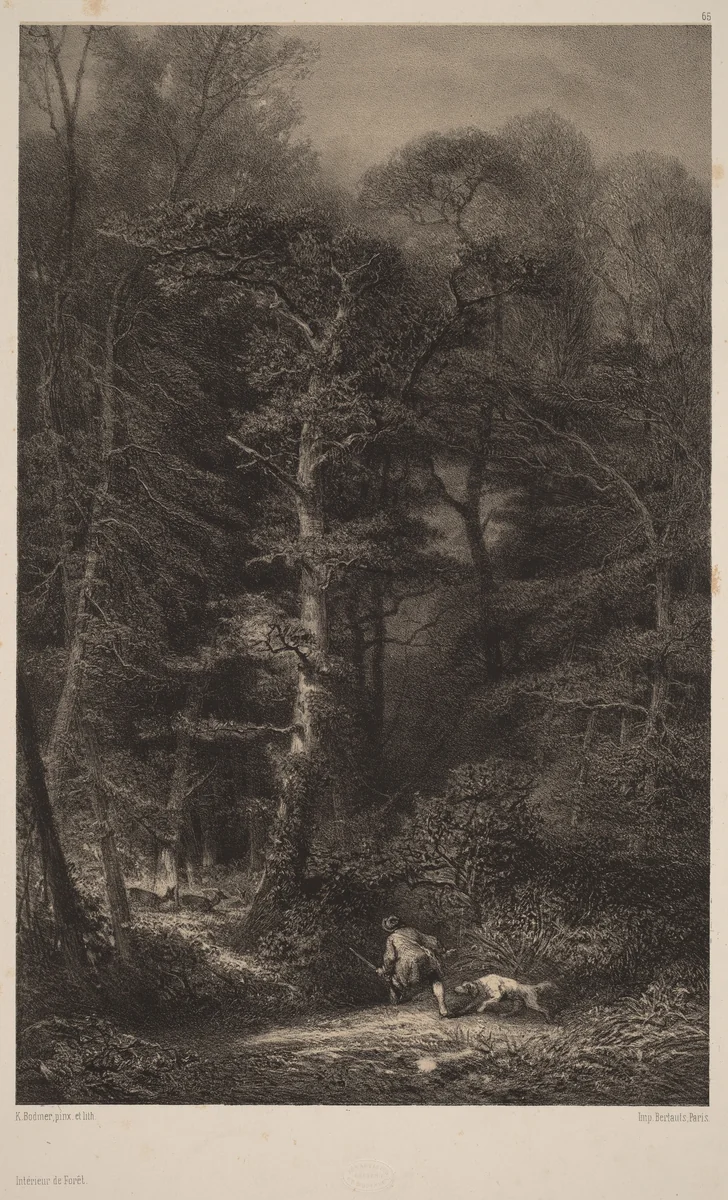 Intérieur de Forêt by Karl Bodmer, print, 1809-1893