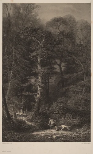 Intérieur de Forêt by Karl Bodmer, print, 1809-1893