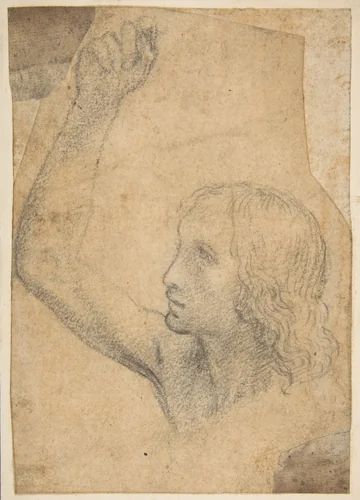 Youth with Right Arm Raised in a Shoulder-Length Portrayal (preparatory study for St. Sebastian) by Timoteo Viti, drawing, 1510-1520