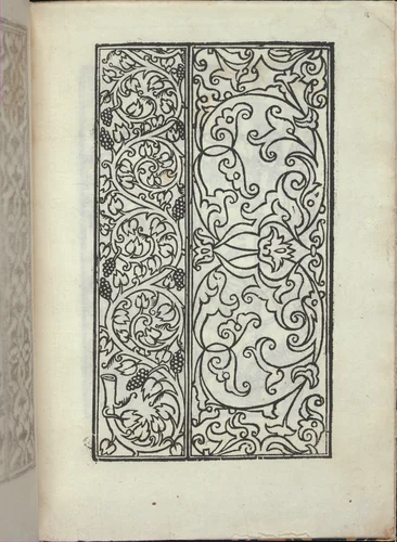 Libro quarto. De rechami per elquale se impara in diuersi modi lordine e il modo de recamare...Opera noua, page 16 (recto) by Alessandro Paganino, book, 1532