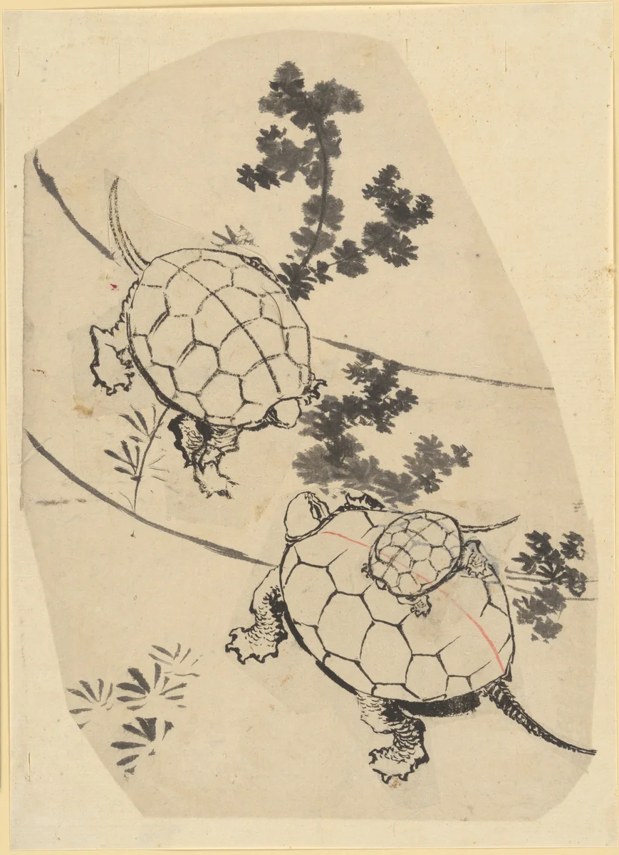 Turtles by Katsushika Hokusai (葛飾 北斎), painting, 1760-1849