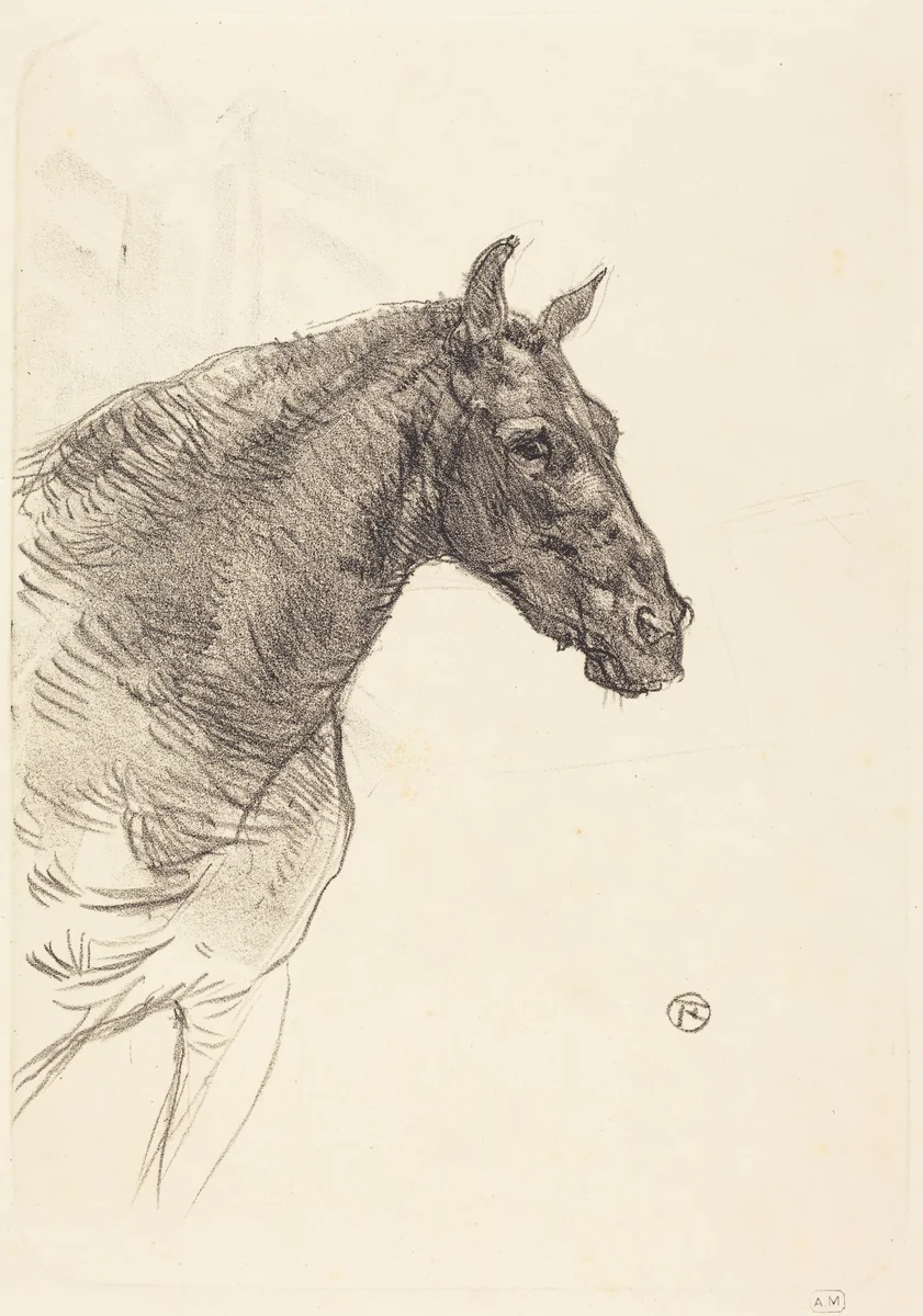 Old Horse (Le vieux cheval) by Henri de Toulouse-Lautrec, print, 1897