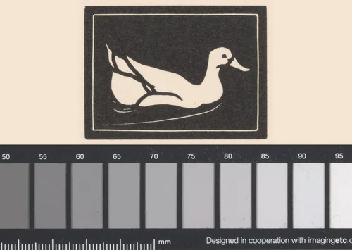 Zwemmende eend by Julie de Graag, print, 1923-1924