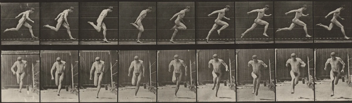 Plate Number 68. Running by Eadweard Muybridge, photograph, 1887
