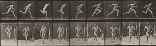 Plate Number 68. Running by Eadweard Muybridge, photograph, 1887