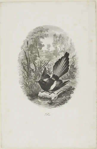 The Magpie by Charles-François Daubigny, print, 1843