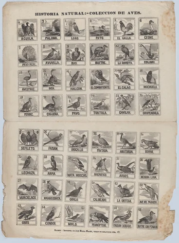 Broadside with 48 scenes of birds by José María Marés, print, 1855-1875