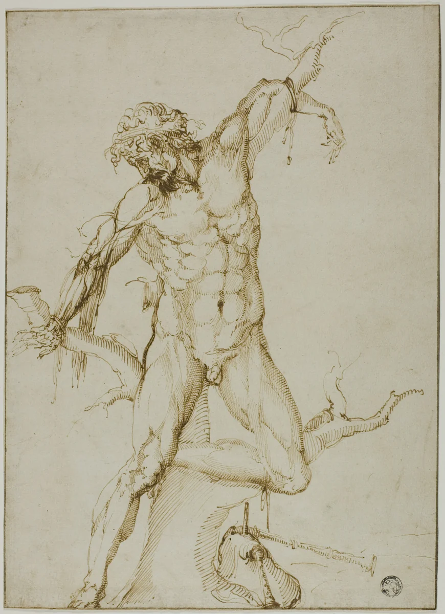 Marsyas Tied to a Tree by Baccio Bandinelli, drawing, 1550
