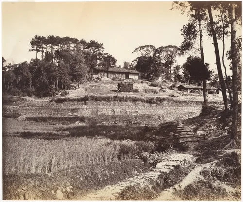 Teahouse at Peking by John Thomson, photograph, 1869