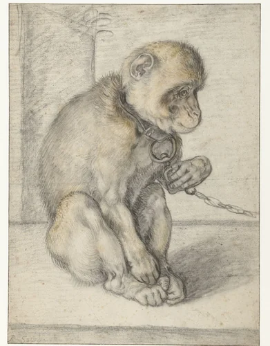 A Seated Monkey on a Chain by Hendrick Goltzius, drawing, 1592-1602
