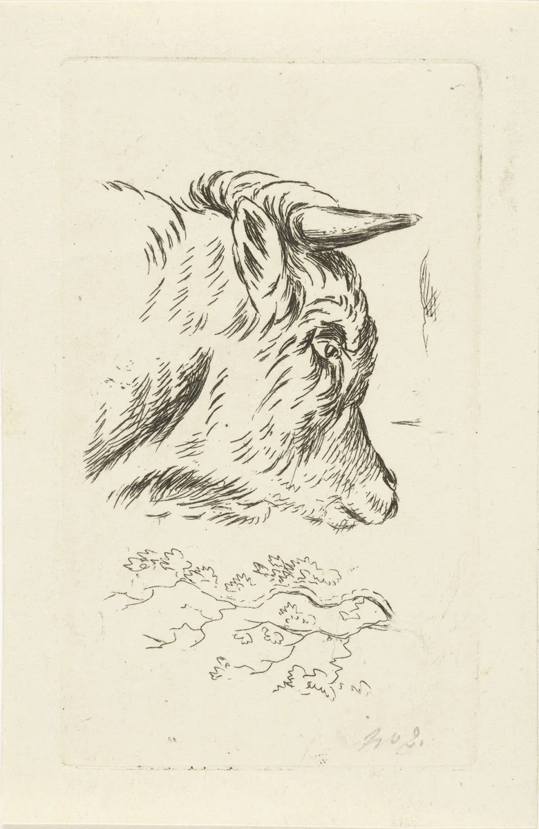 Kop van een koe en studie van een tak by anonymous, print, 1854