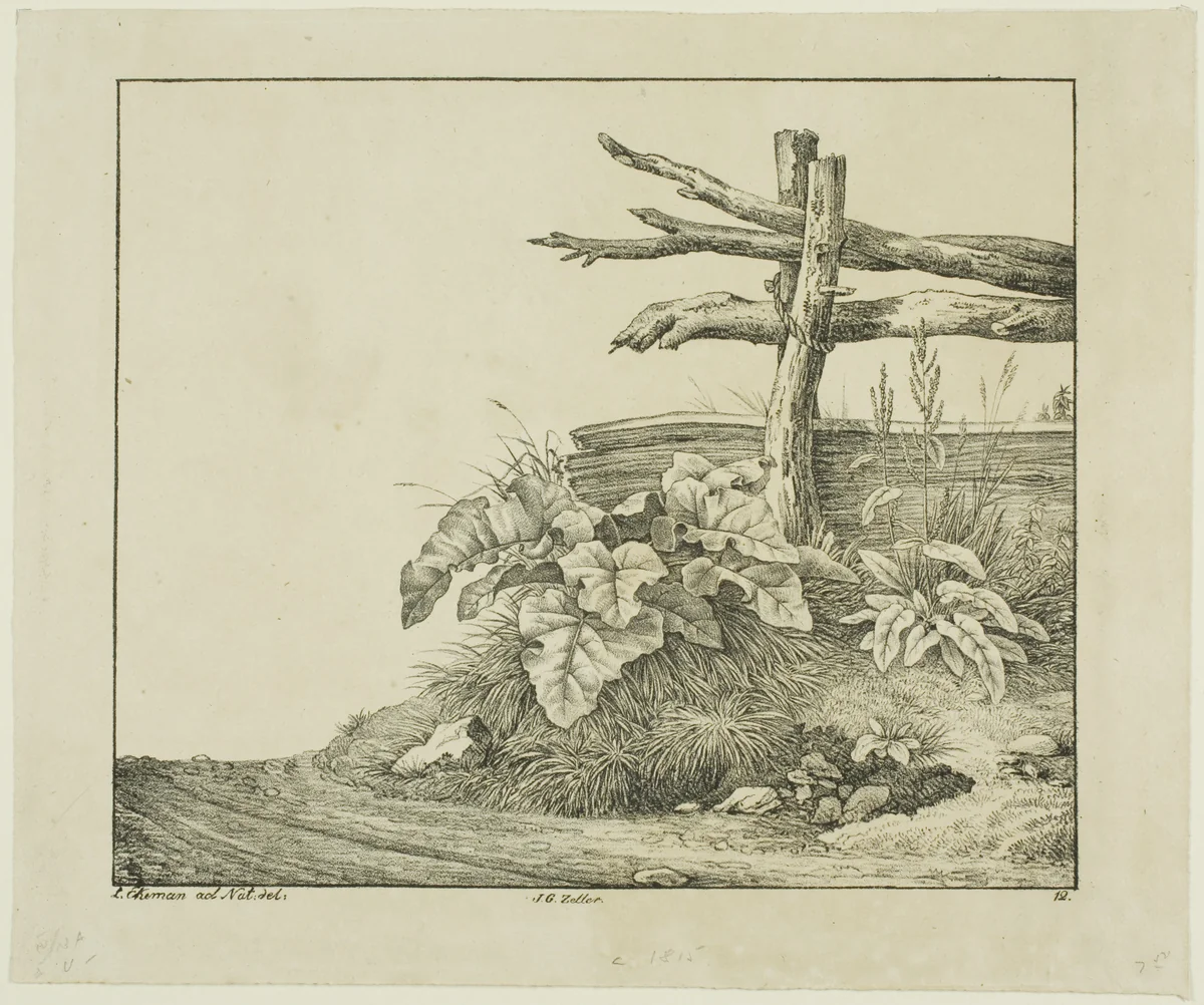 Landscape with Flora and Rustic Fence near Roadside by Lorenz Ekemann Alesson, print, 1811-1828
