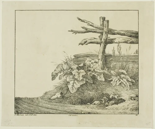 Landscape with Flora and Rustic Fence near Roadside by Lorenz Ekemann Alesson, print, 1811-1828
