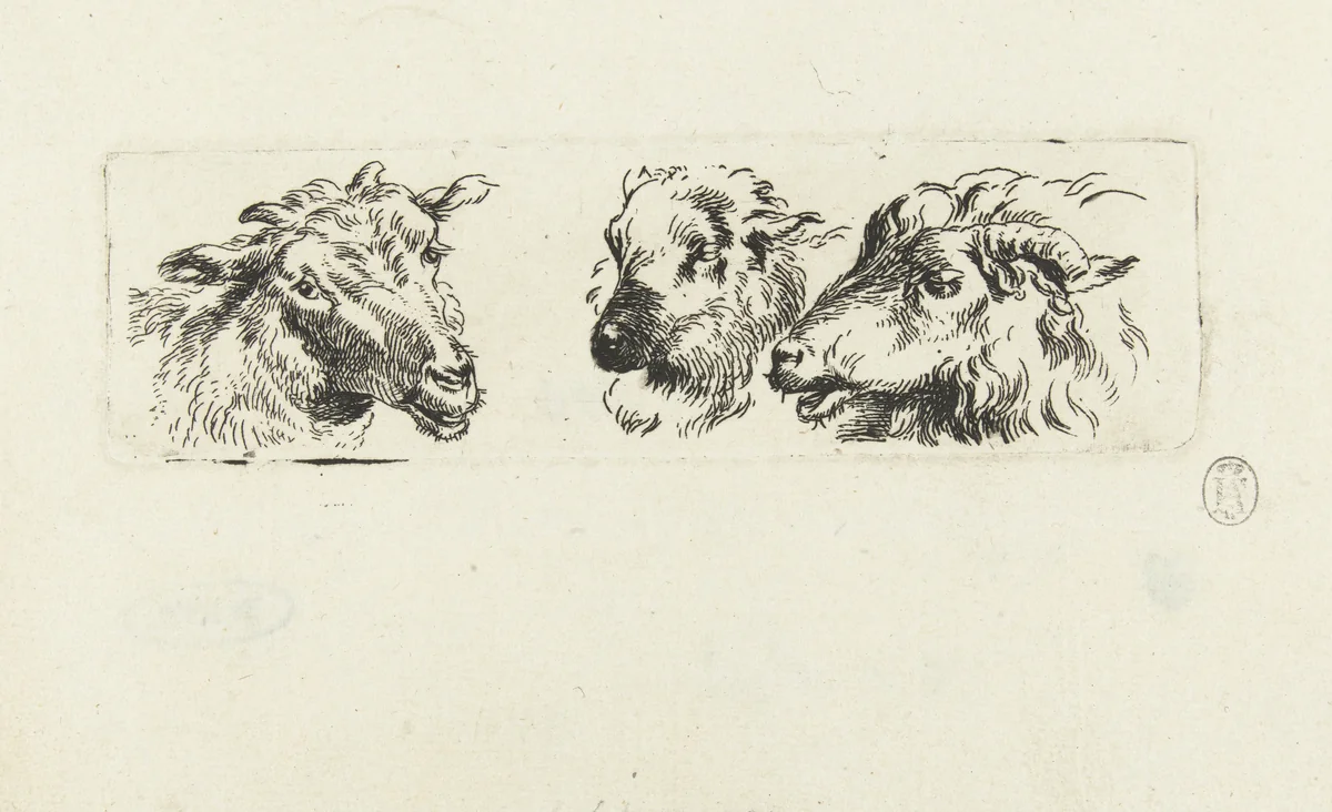 Drie koppen van geiten by Nicolaes Pietersz Berchem, print, 1630-1683