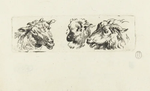 Drie koppen van geiten by Nicolaes Pietersz Berchem, print, 1630-1683