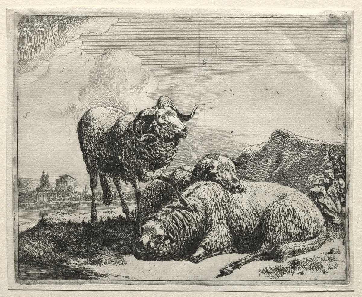 Ram and Two Sheep by Johann Heinrich Roos, print, 1665