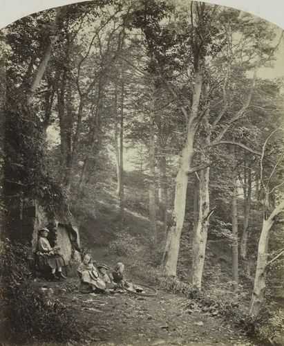 A Path Through a Wood by Major Francis Gresley, photograph, 1855-1865