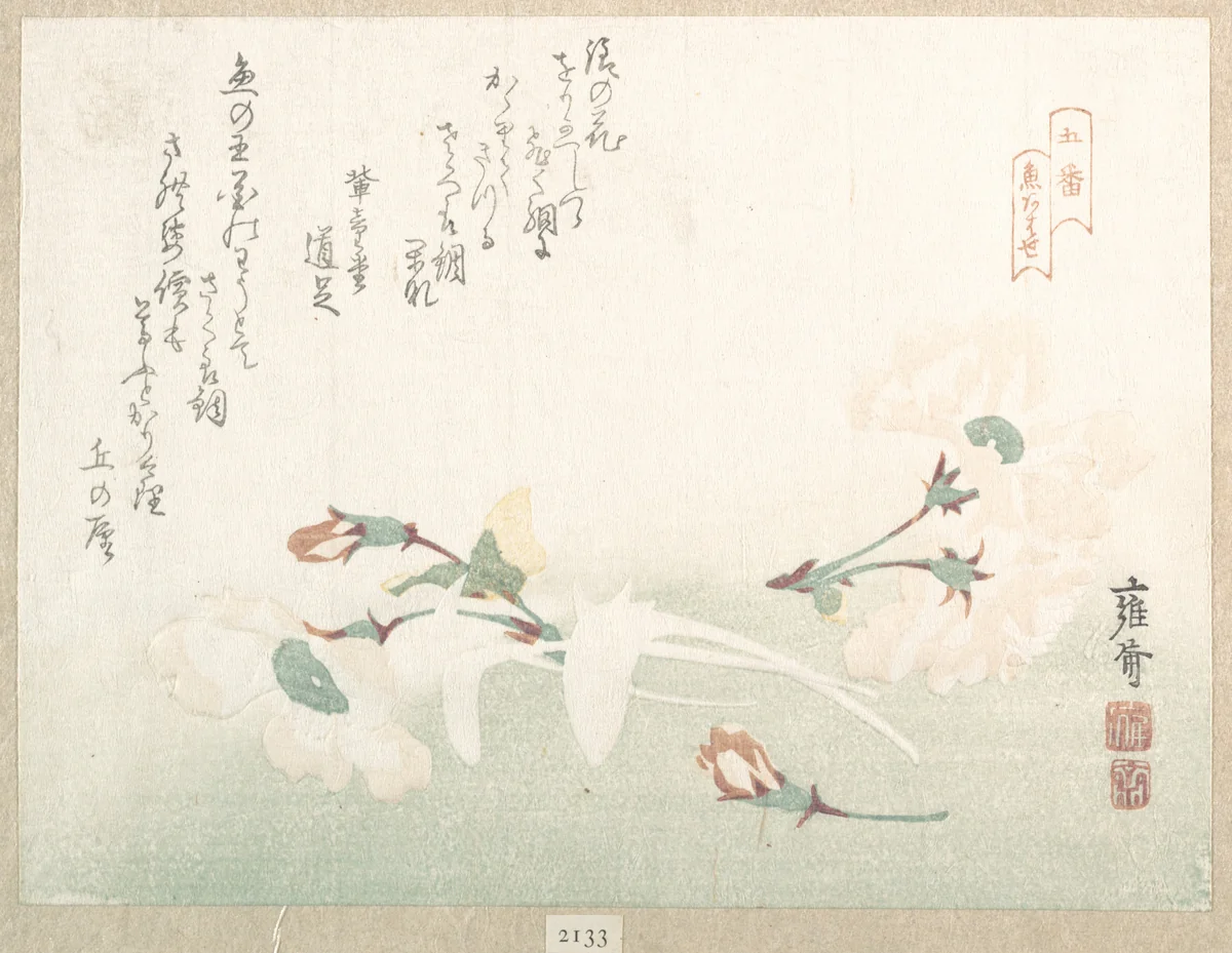 Cherry Flowers by Kikuchi Yōsai, print, 1800-1899