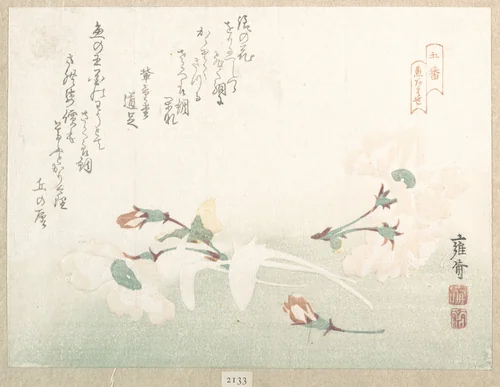 Cherry Flowers by Kikuchi Yōsai, print, 1800-1899