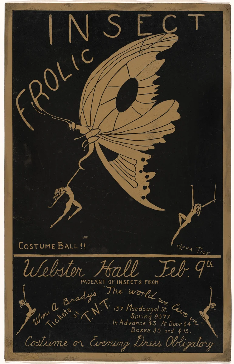 Poster for Insect Frolic Costume Ball, Webster Hall, New York, February 9, 1923 by Clara Tice, print, 1923