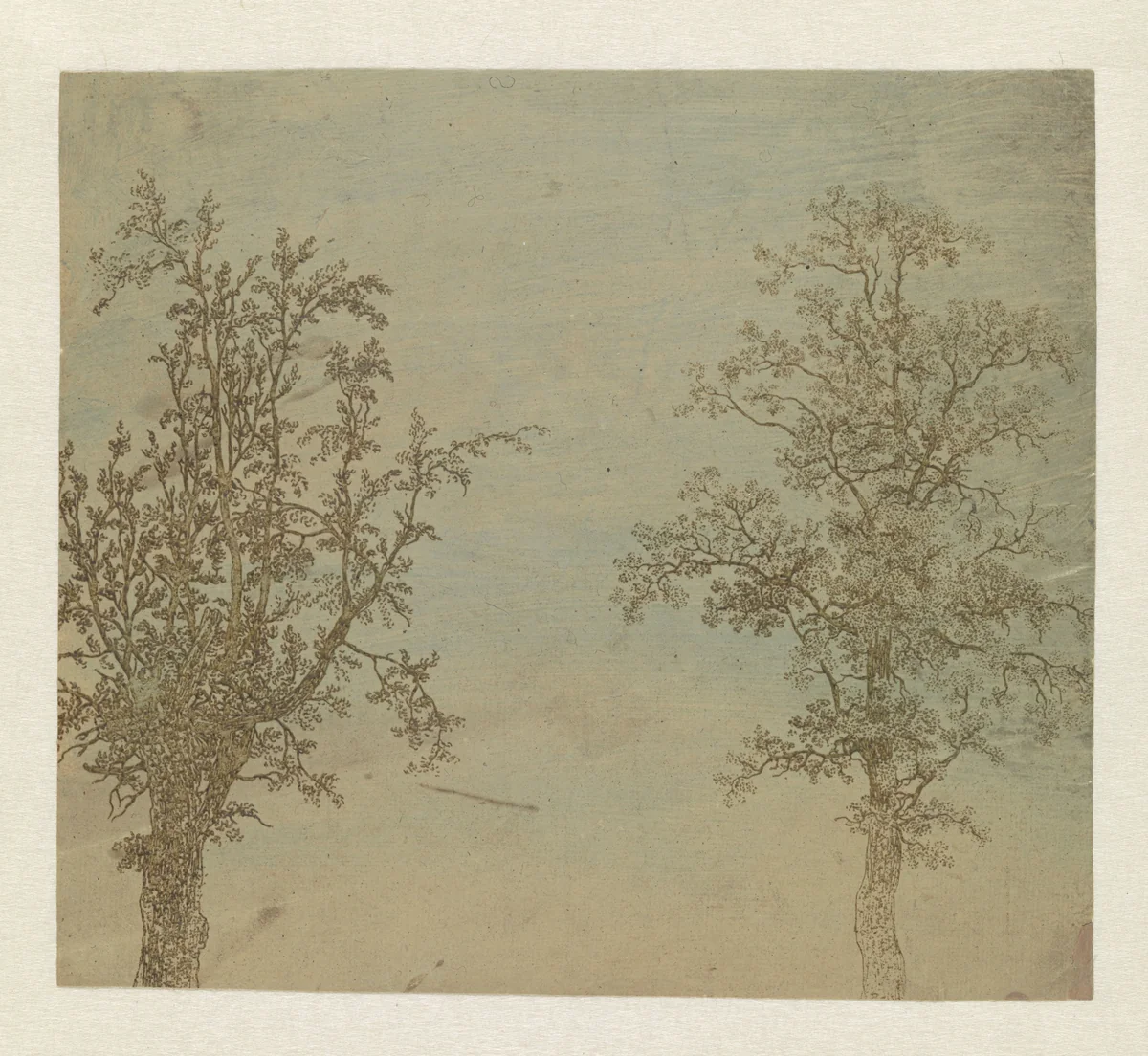 The Two Trees (An Alder and an Ash) by Hercules Segers, print, 1625-1630