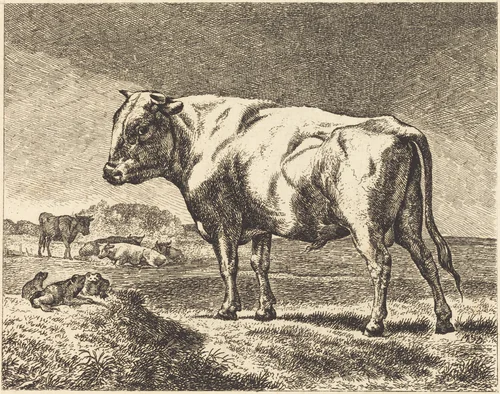 Cow by German 19th Century, print, 1800-1899