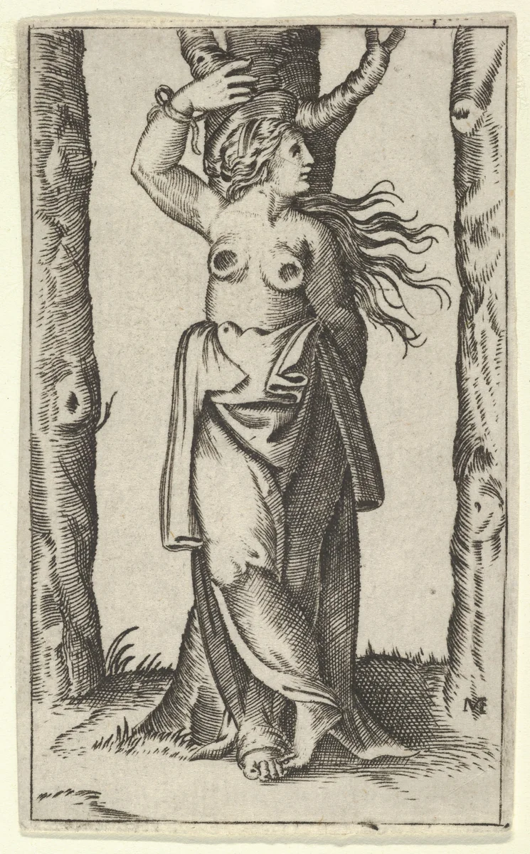 Saint Agatha tied to a tree, her breasts cut off, from "Piccoli Santi" (Small Saints) by anonymous, print, 1495-1505