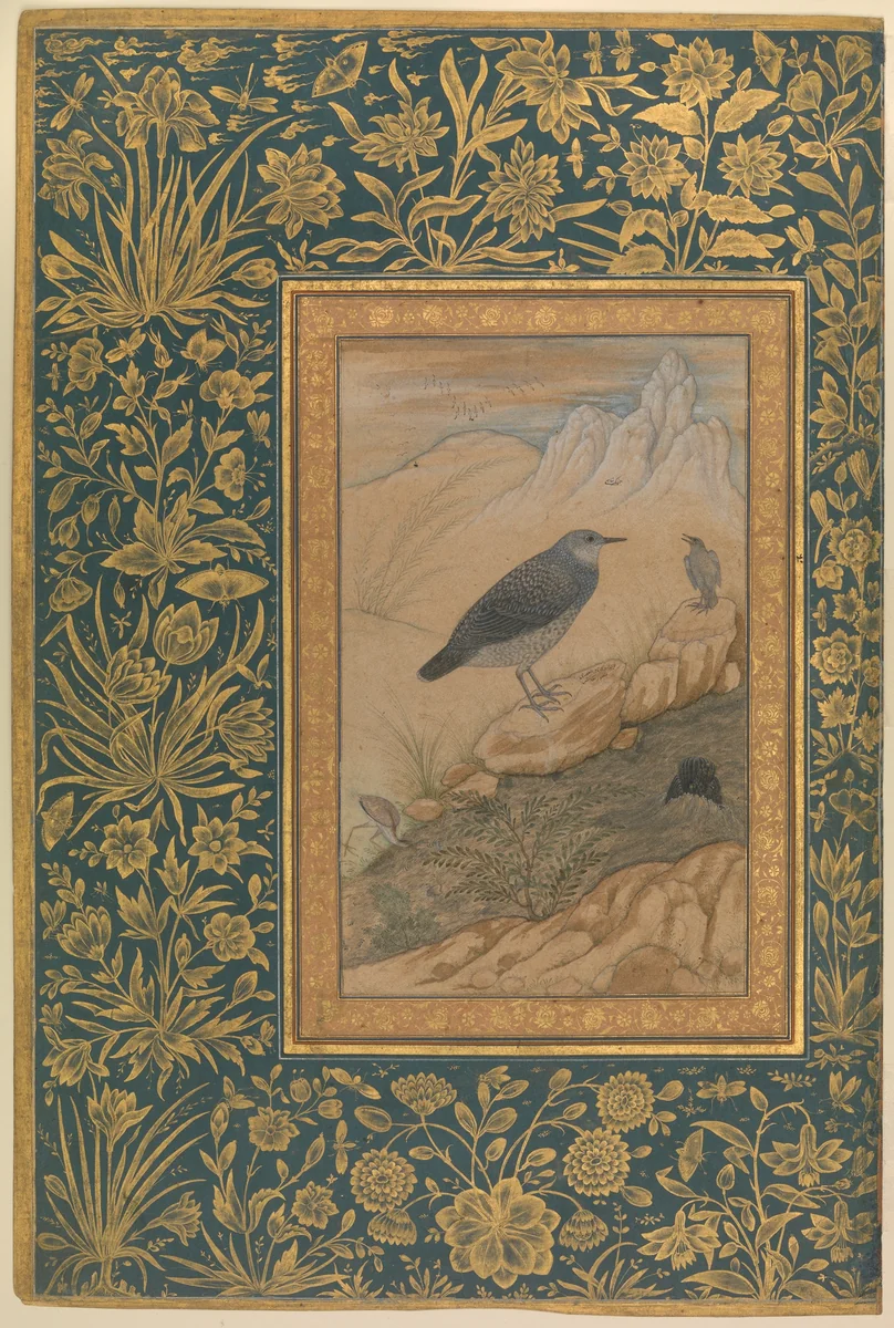 "Diving Dipper and Other Birds", Folio from the Shah Jahan Album by Mansur, manuscript, 1510-1640