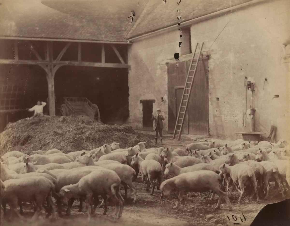 Untitled by Eugène Atget, photograph, 1900