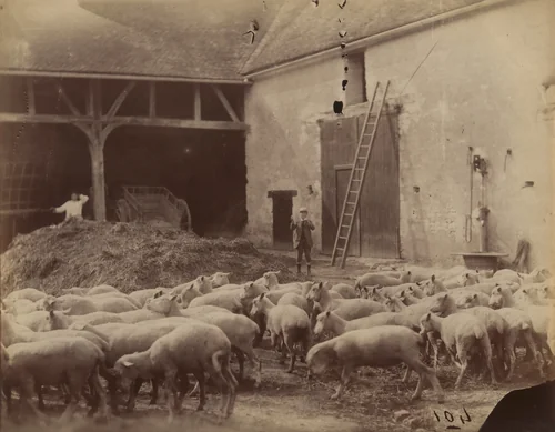 Untitled by Eugène Atget, photograph, 1900