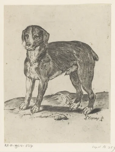 Staande hond by Unknown, print, 1582-1585