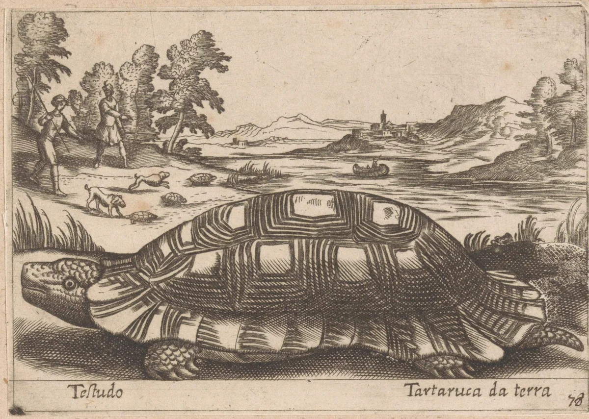 Landschildpad by Antonio Tempesta, print, 1565-1630