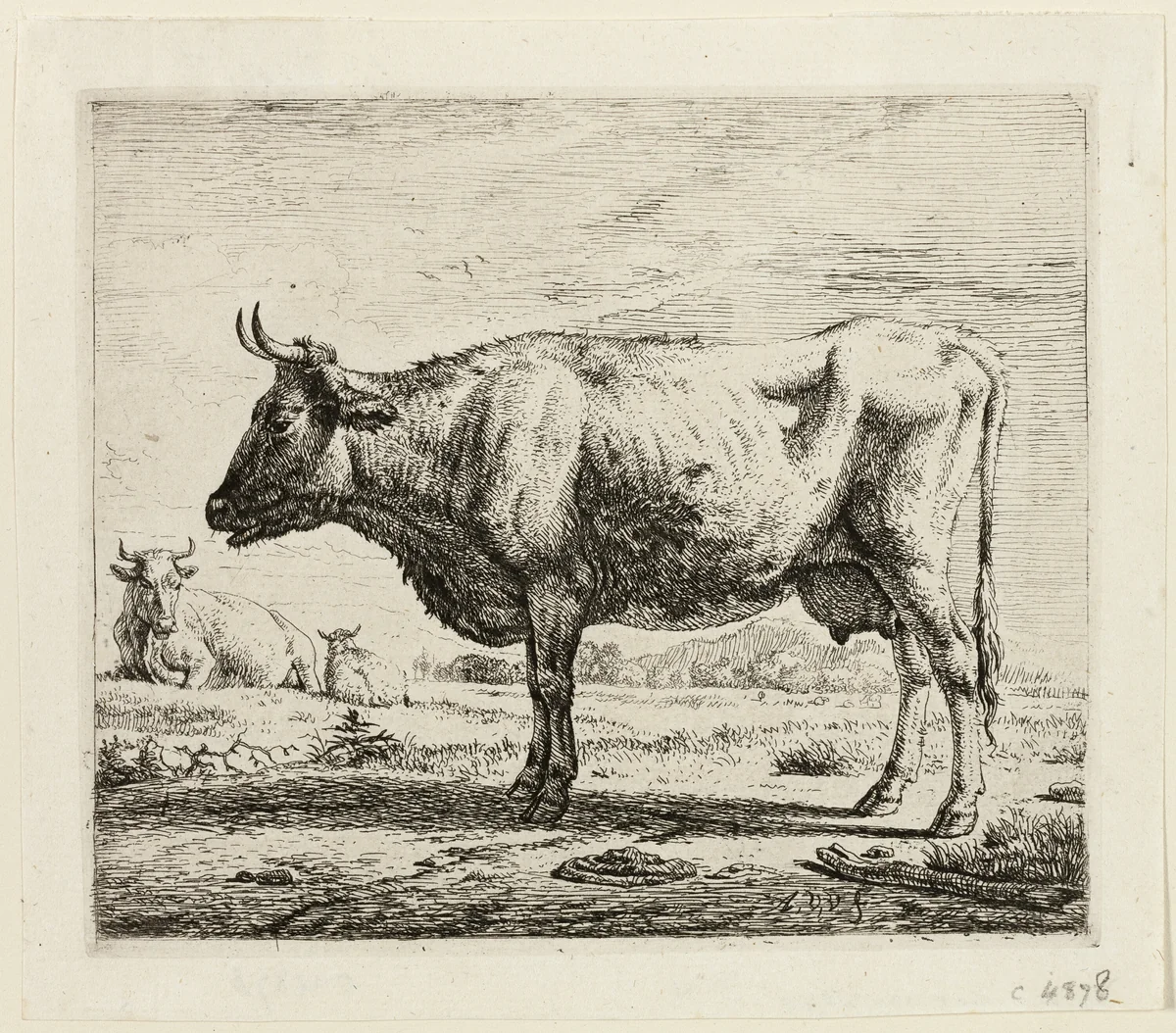Two Cows and a Sheep by Adriaen van de Velde, print, 1656-1672