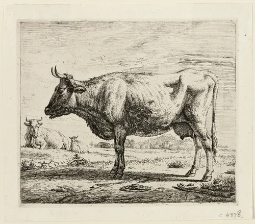 Two Cows and a Sheep by Adriaen van de Velde, print, 1656-1672