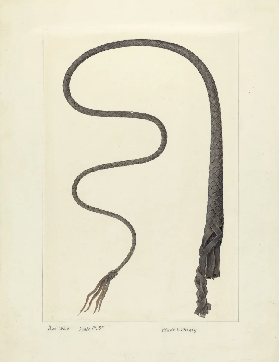Bull Whip by Clyde L. Cheney, index of american design, 1937
