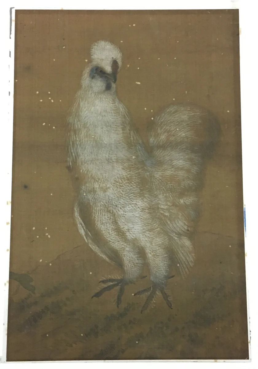 White Rooster by Artist Unknown, other, 1367-1644
