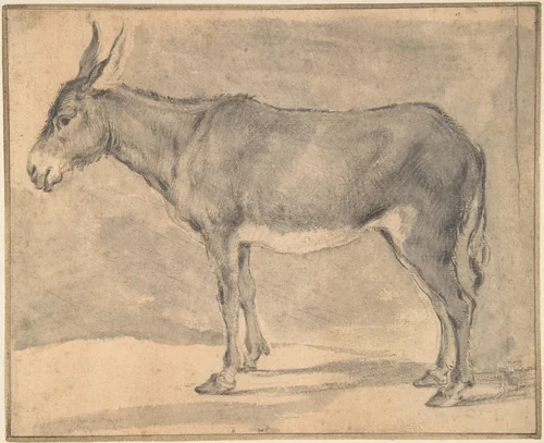 Donkey by Pieter Jacobsz van Laer, drawing, 1600-1650