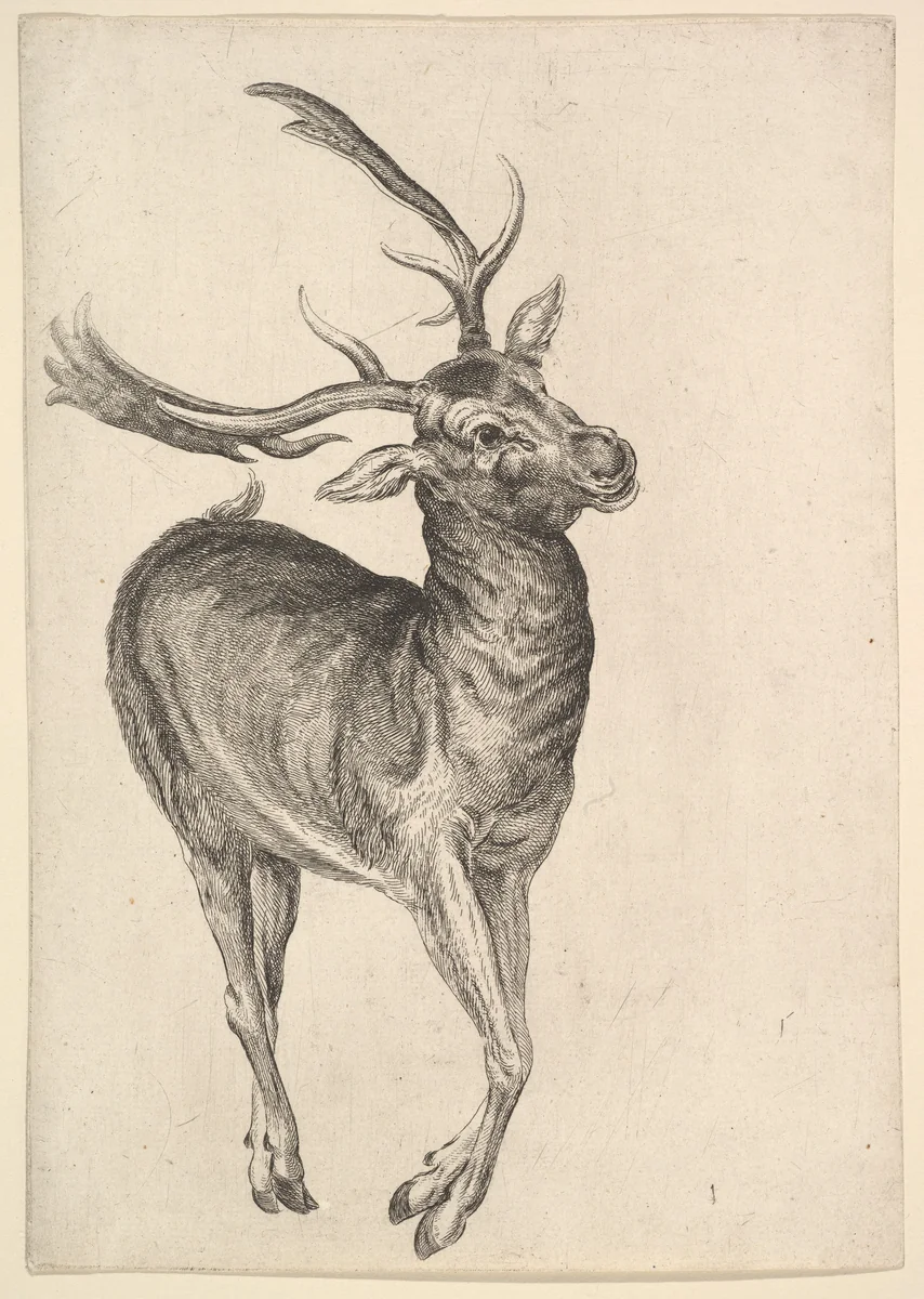 Stag by Wenceslaus Hollar, print, 1625-1677