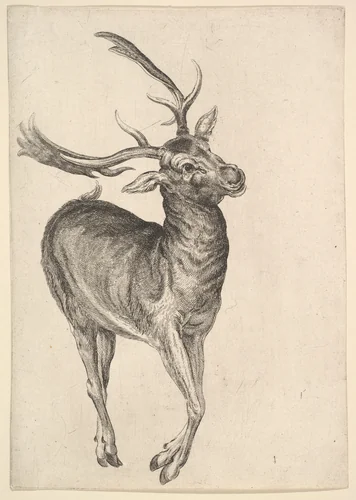 Stag by Wenceslaus Hollar, print, 1625-1677