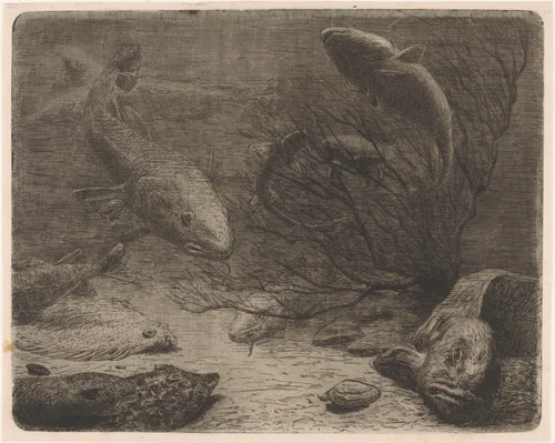 Aquarium by August Le Gras, print, 1887