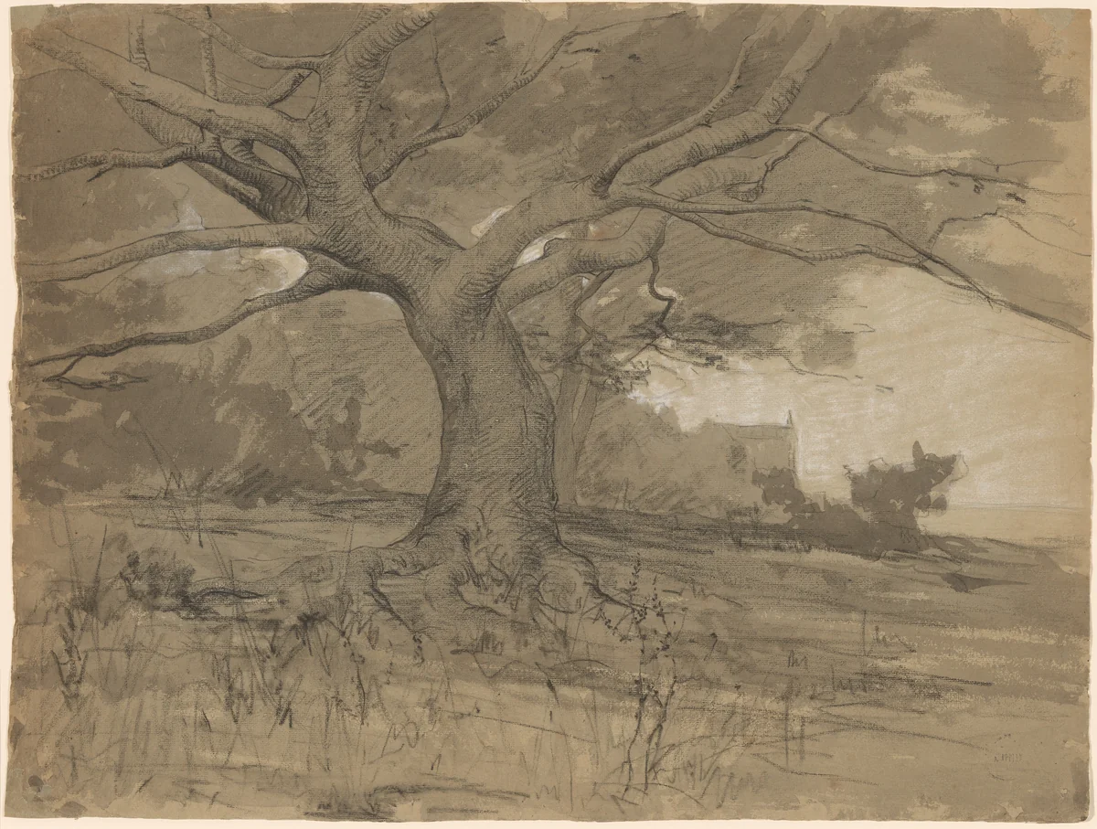 A Great Beech Tree at the Edge of a Wood by Adolphe Appian, drawing, 1818-1898