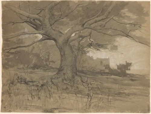 A Great Beech Tree at the Edge of a Wood by Adolphe Appian, drawing, 1818-1898