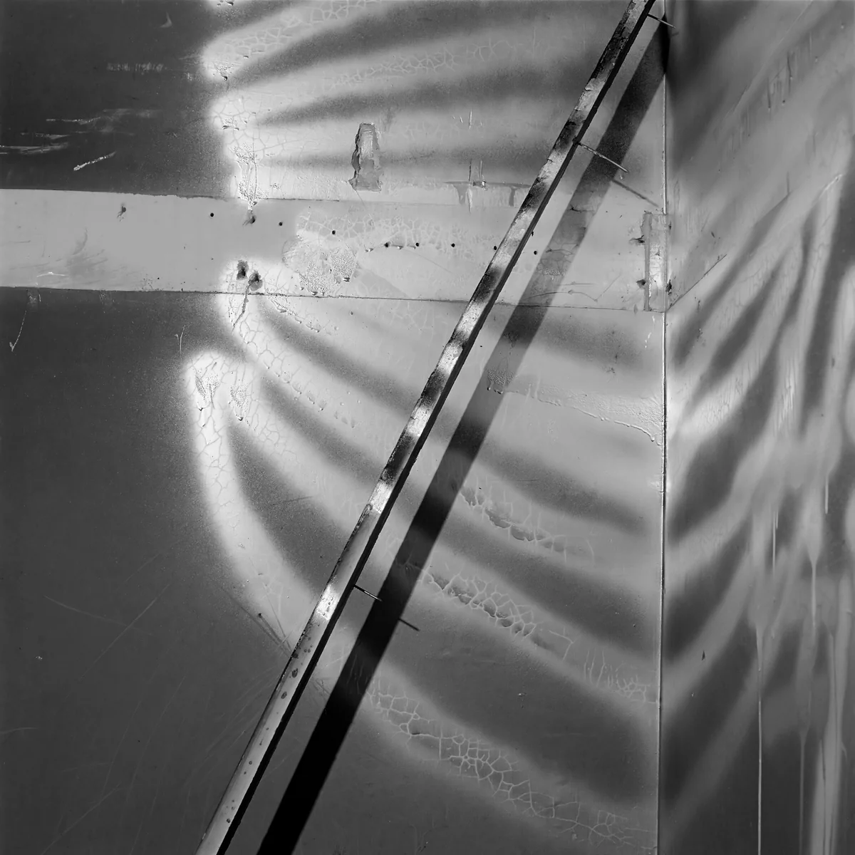 74V03 by John Divola, photograph, 1973-1975