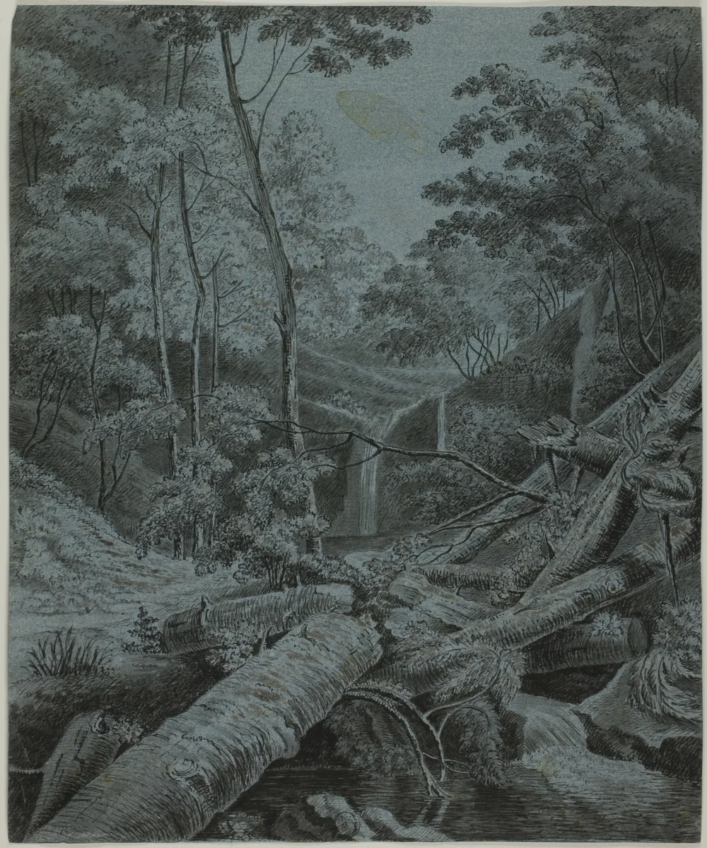 Waterfall and Fallen Logs in Forest by Unknown Artist, drawing, 1700-1799